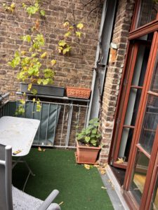 Spirtit of Living Immobilien | Altbau im Belgischen Viertel !!